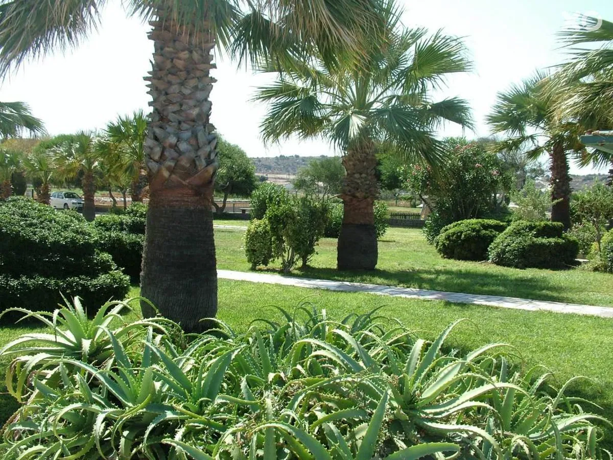 Babaylon Hotel