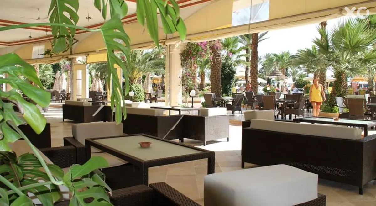 Riadh Palms