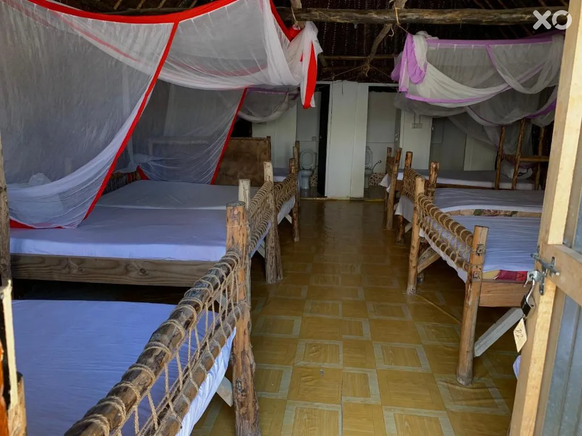New Jambo Bungalows