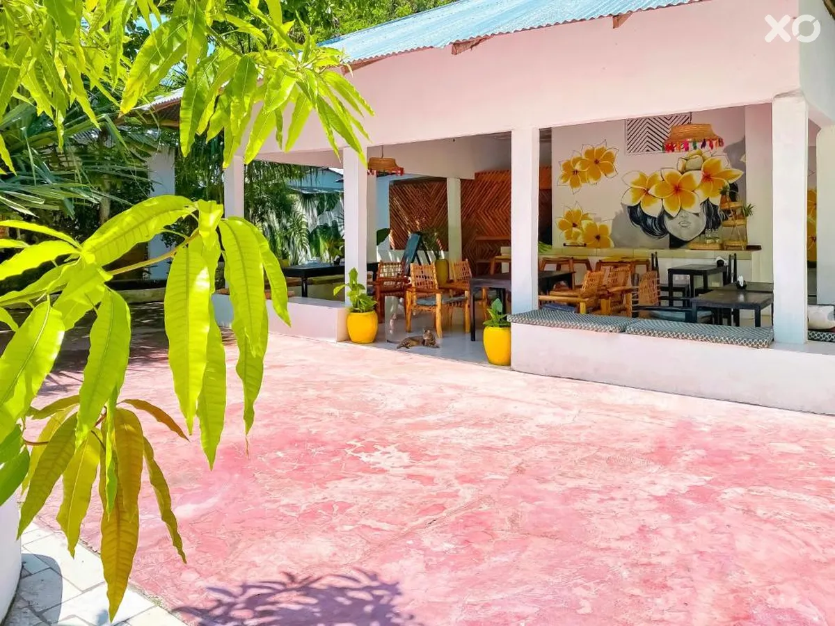 Papaya Guest House