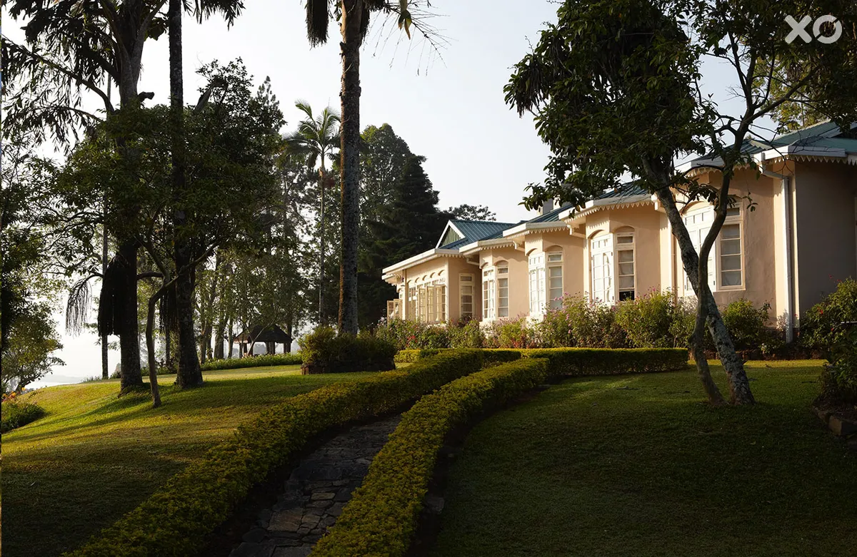 Ceylon Tea Trails