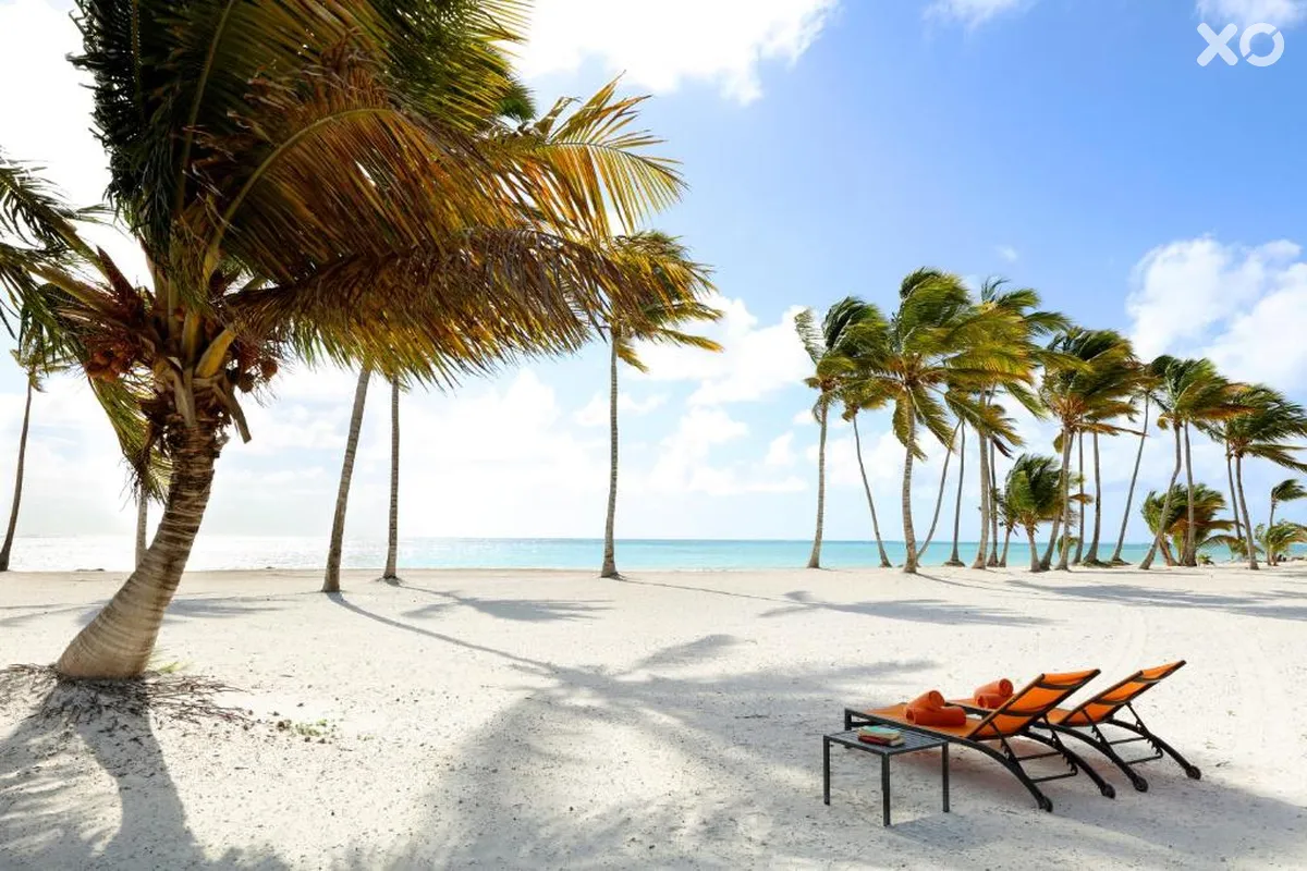 TRS Cap Cana Hotel