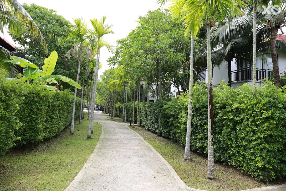 D Varee Mai Khao Beach