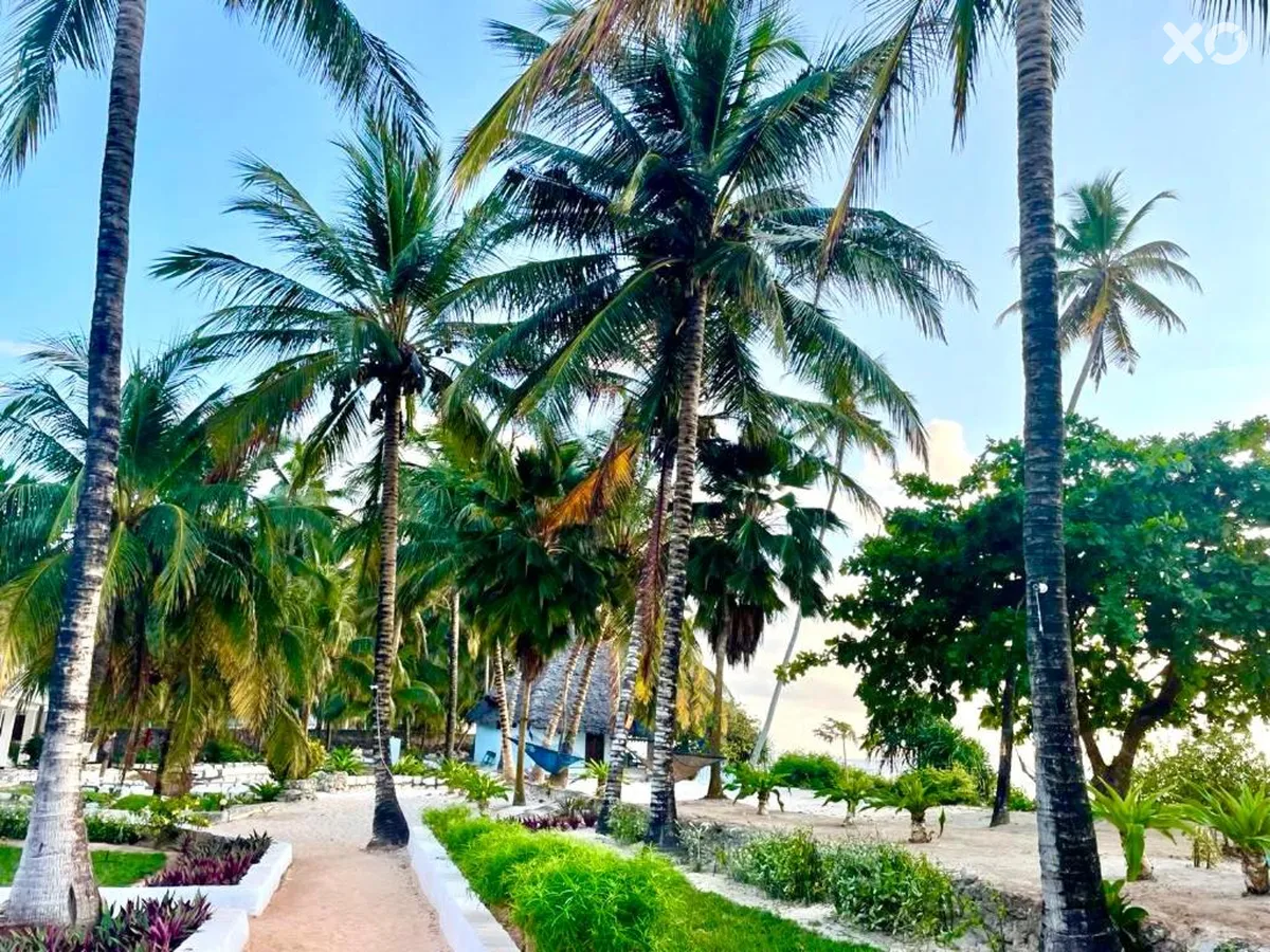Mambo Beach Villas