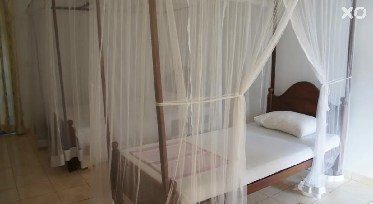 Sunny Mood Guest House