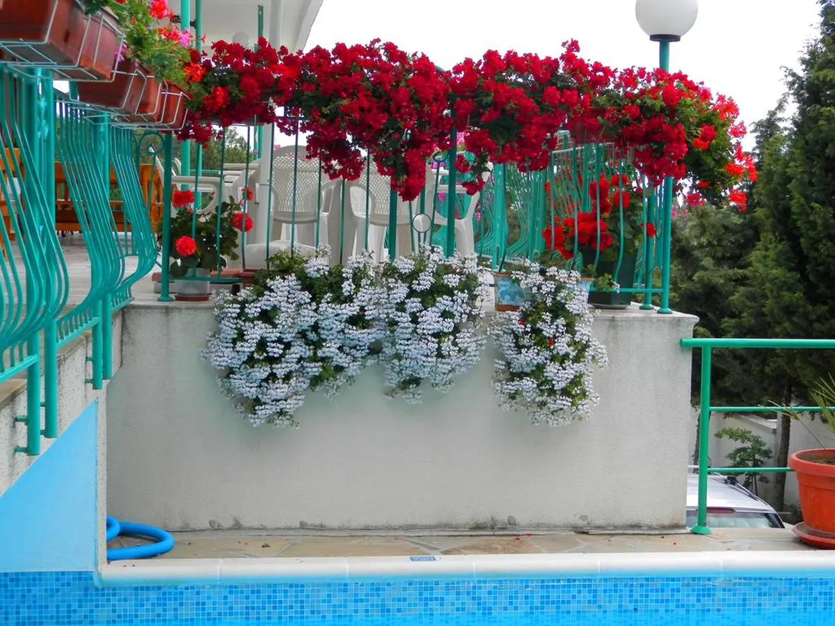 Zora Hotel