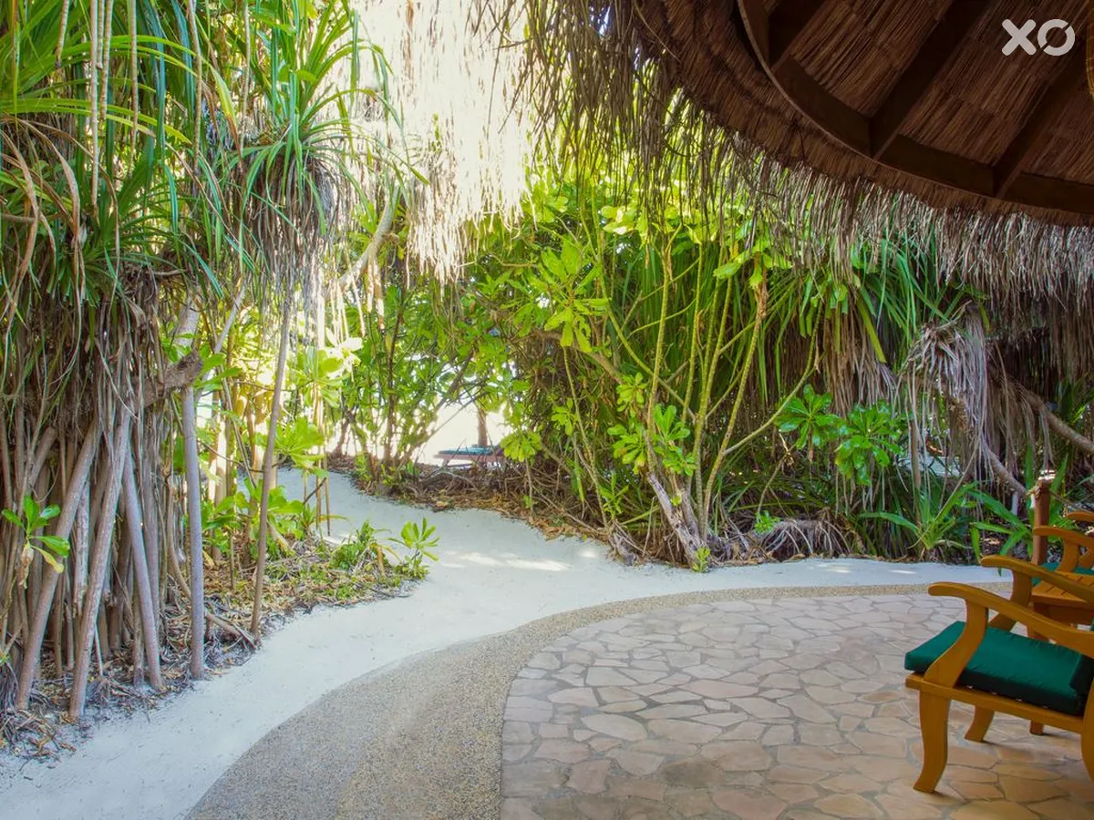 Coco Palm Dhuni Kolhu