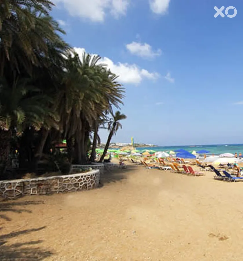 Palm Beach Hotel