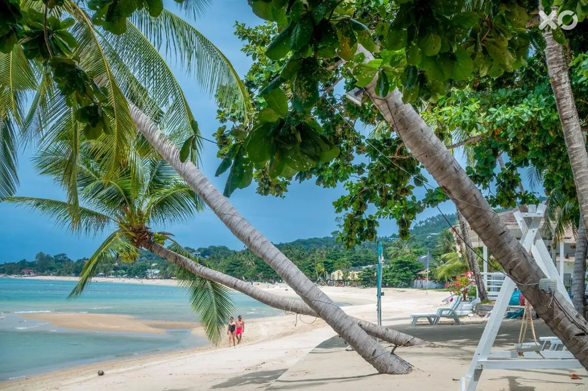 Sand Sea Beach Resort