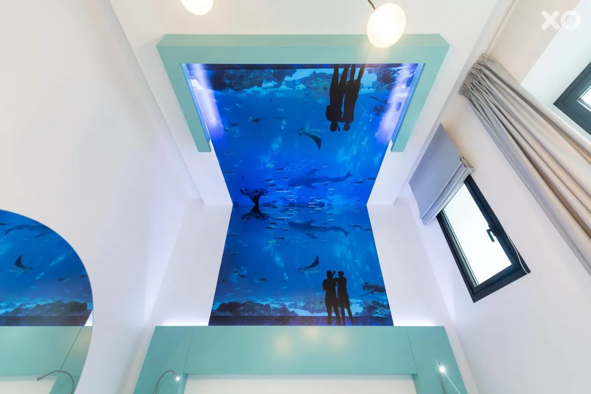HD Acuario Lifestyle