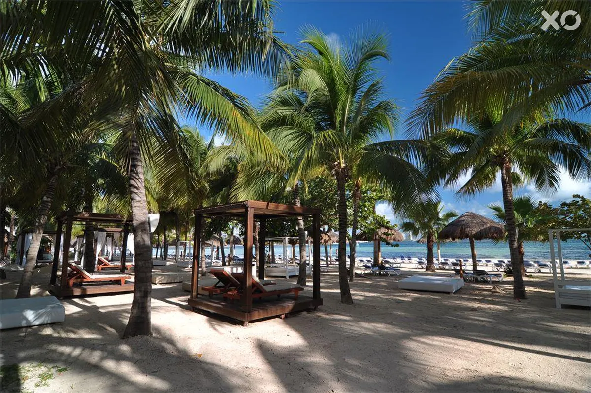 Grand Oasis Palm