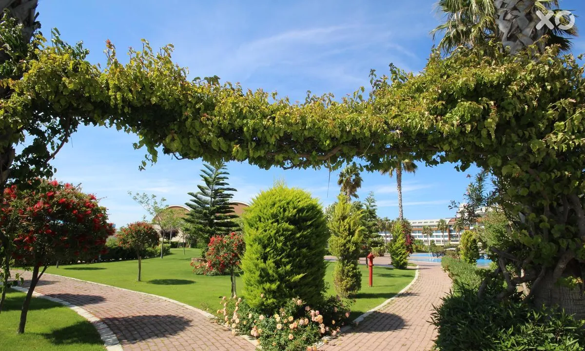 TUI Magic Life Jacaranda