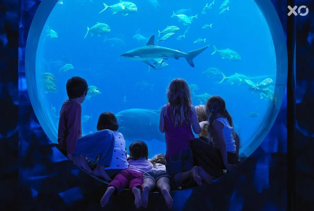 Atlantis The Palm