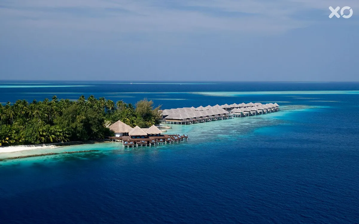 Coco Bodu Hithi