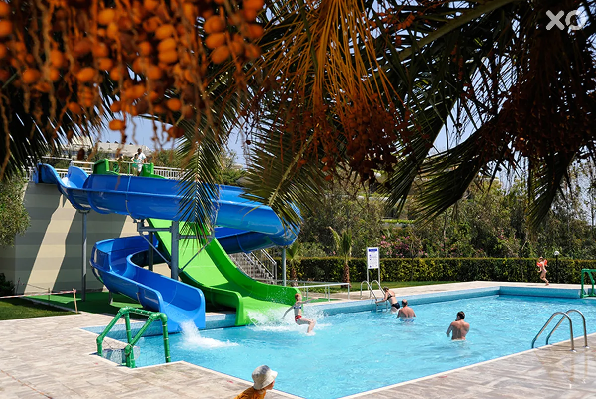 Barut Arum