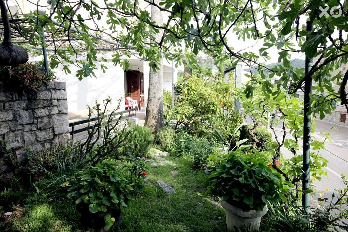 Draskovic Guesthouse