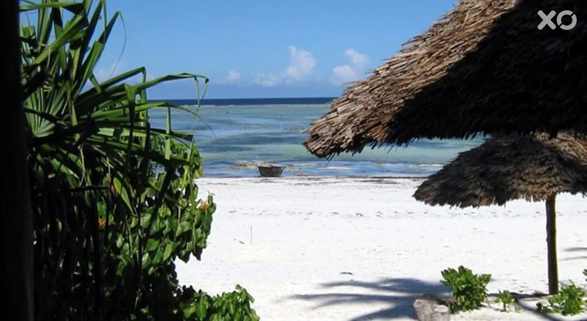 Zoi Boutique Hotel Zanzibar