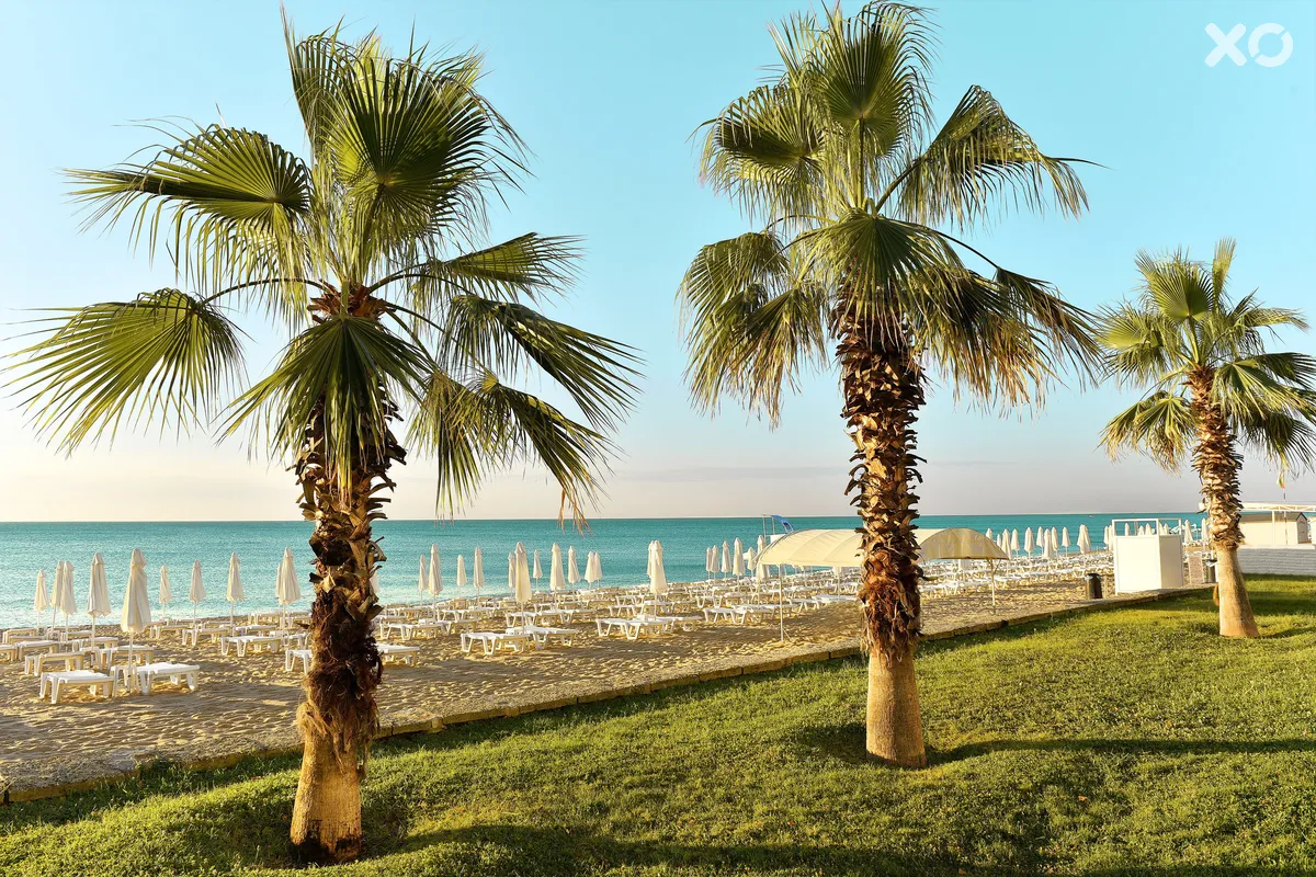 Grifid Hotel Marea