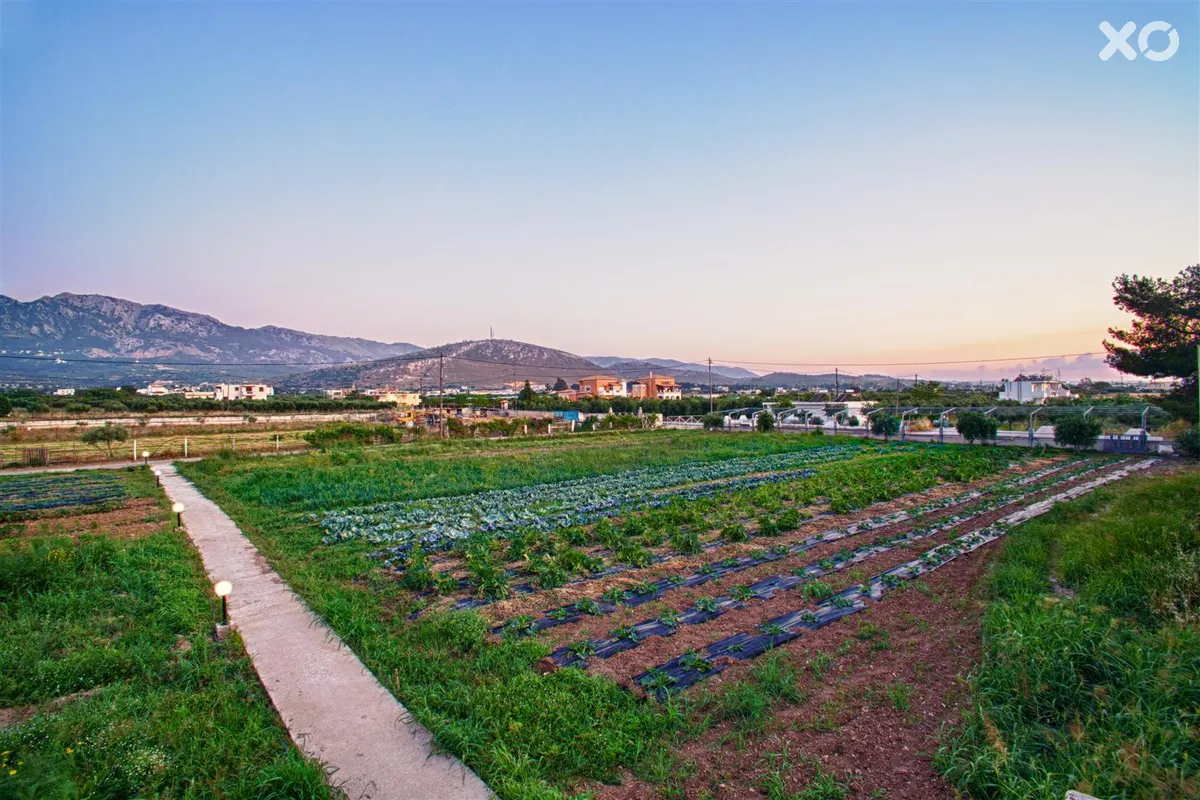 K. ilios Hotel & Farming