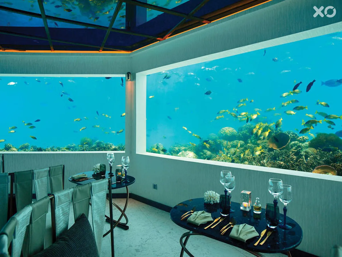 Ozen by Atmosphere at Maadhoo