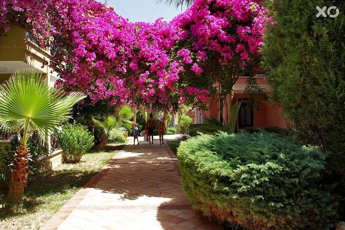 Dizalya Club Hotel
