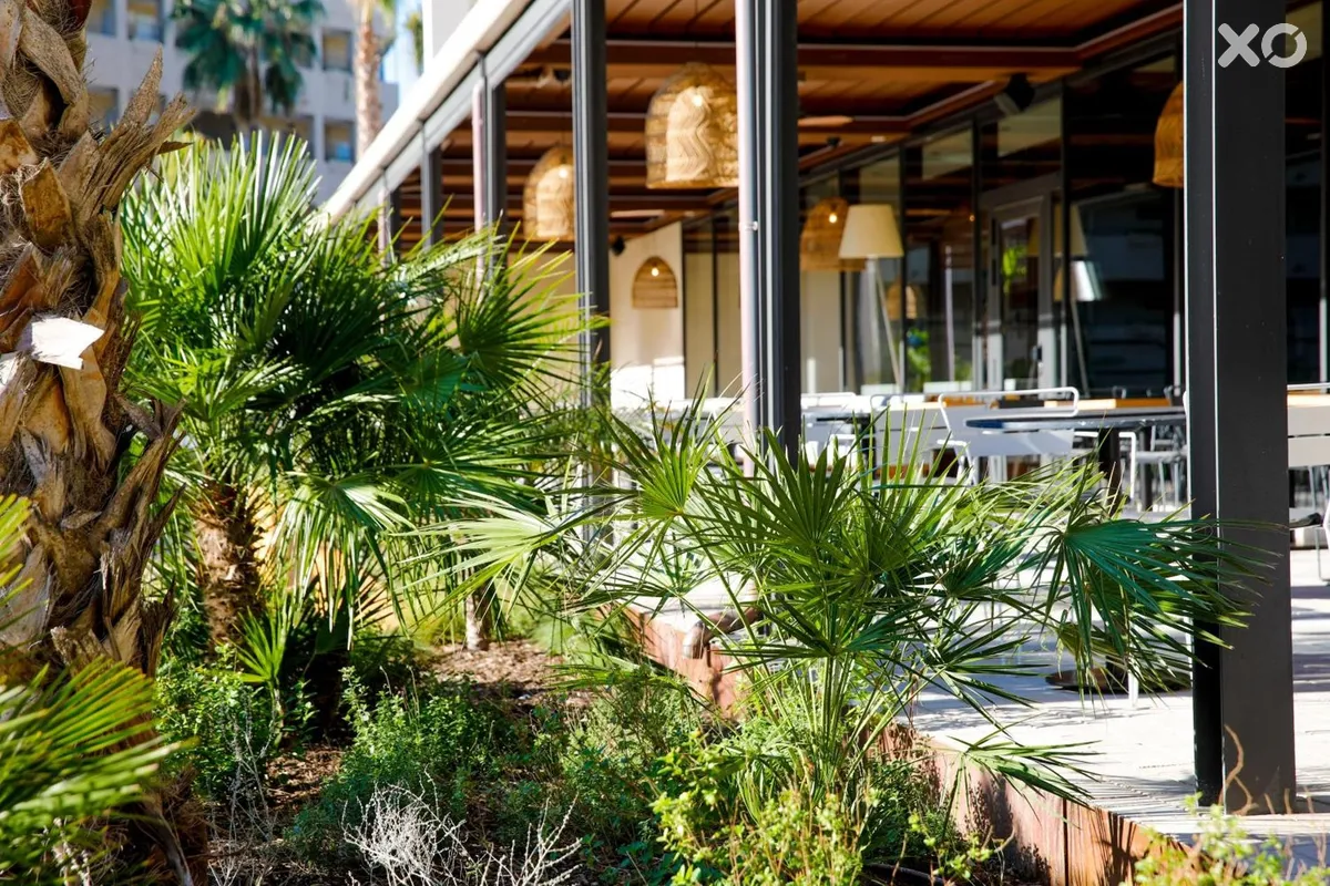 Aubamar Suites & SPA