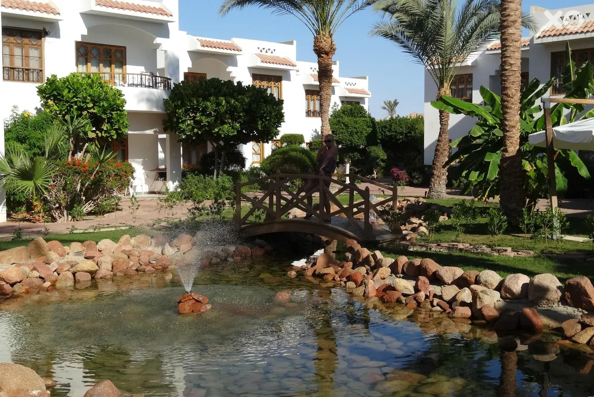 Dive Inn Resort
