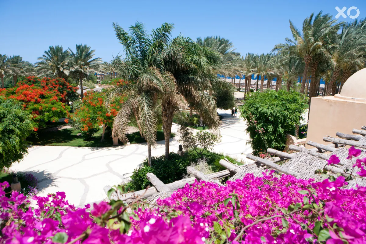 The Grand Makadi