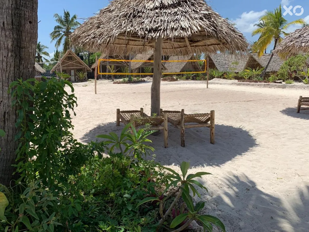 New Jambo Bungalows