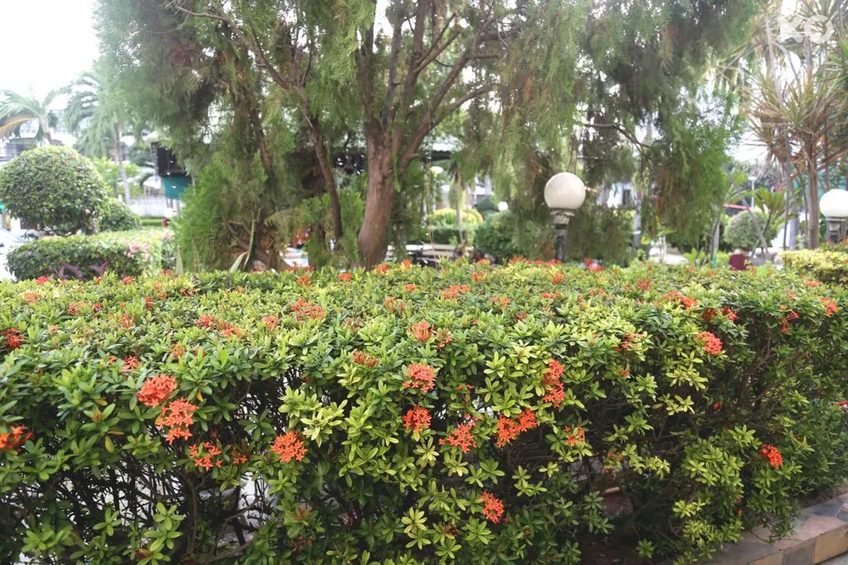 The Romeo Palace Hotel