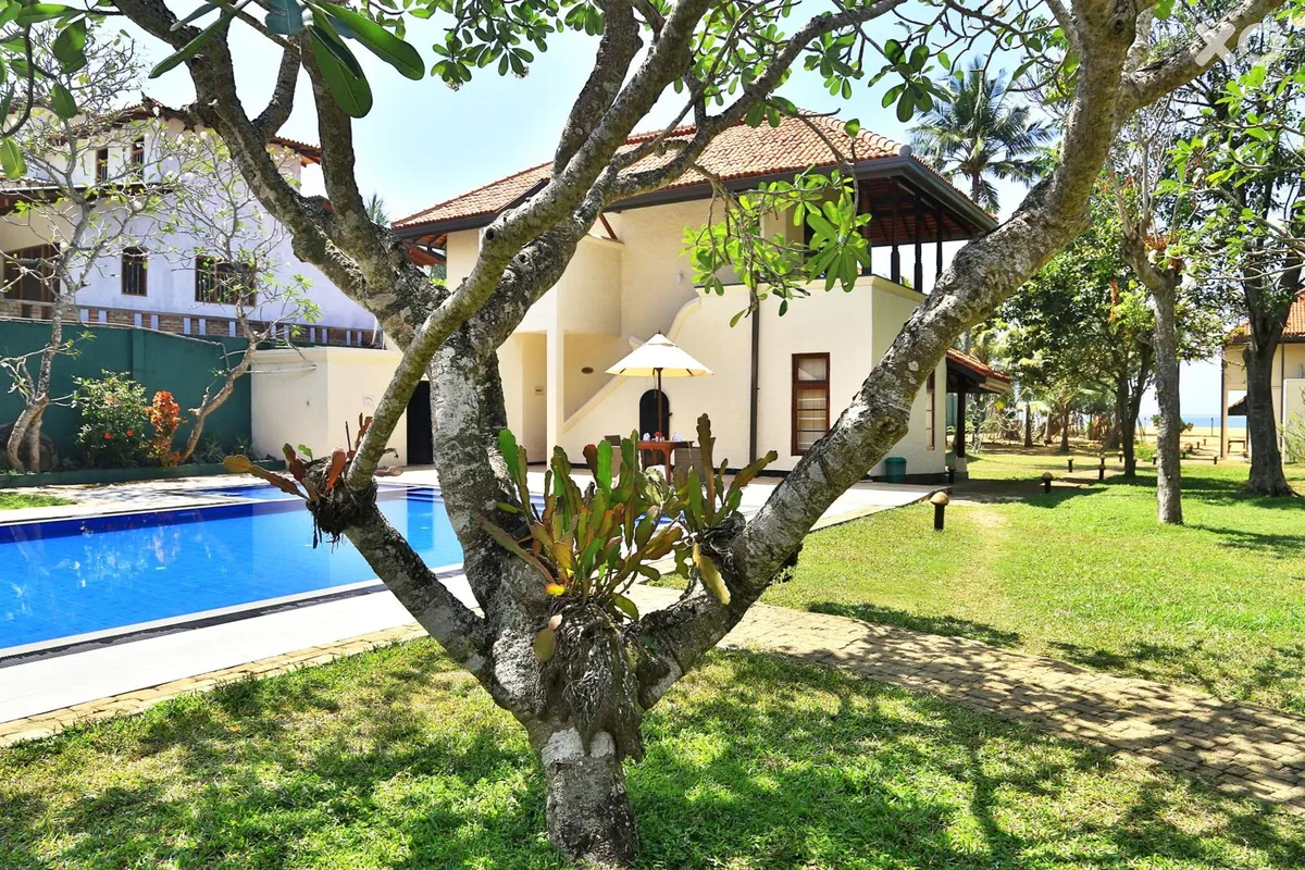 Hibiscus Beach Hotel