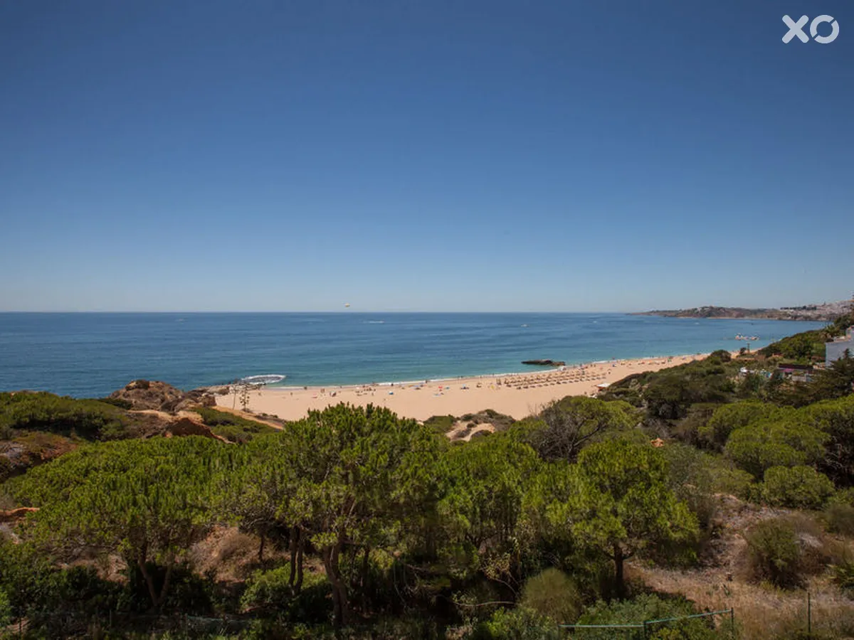 Auramar Beach Resort