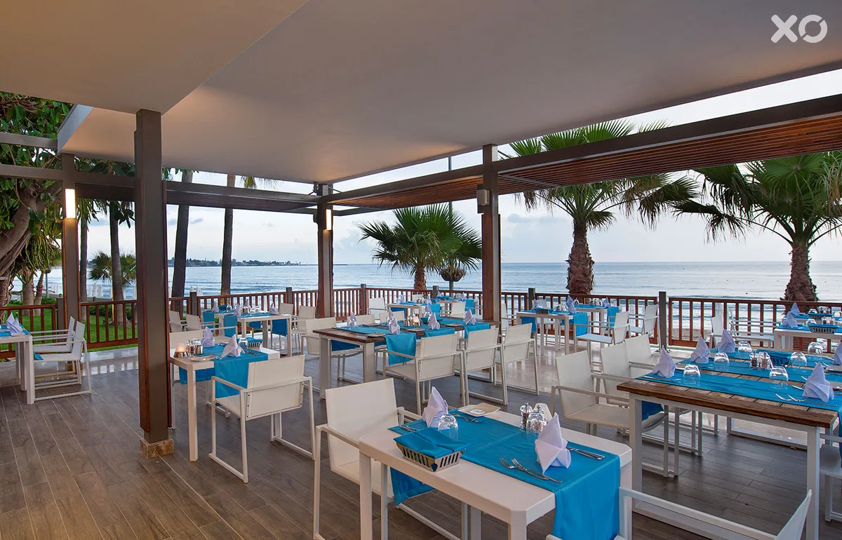 Acanthus Cennet Barut Collection