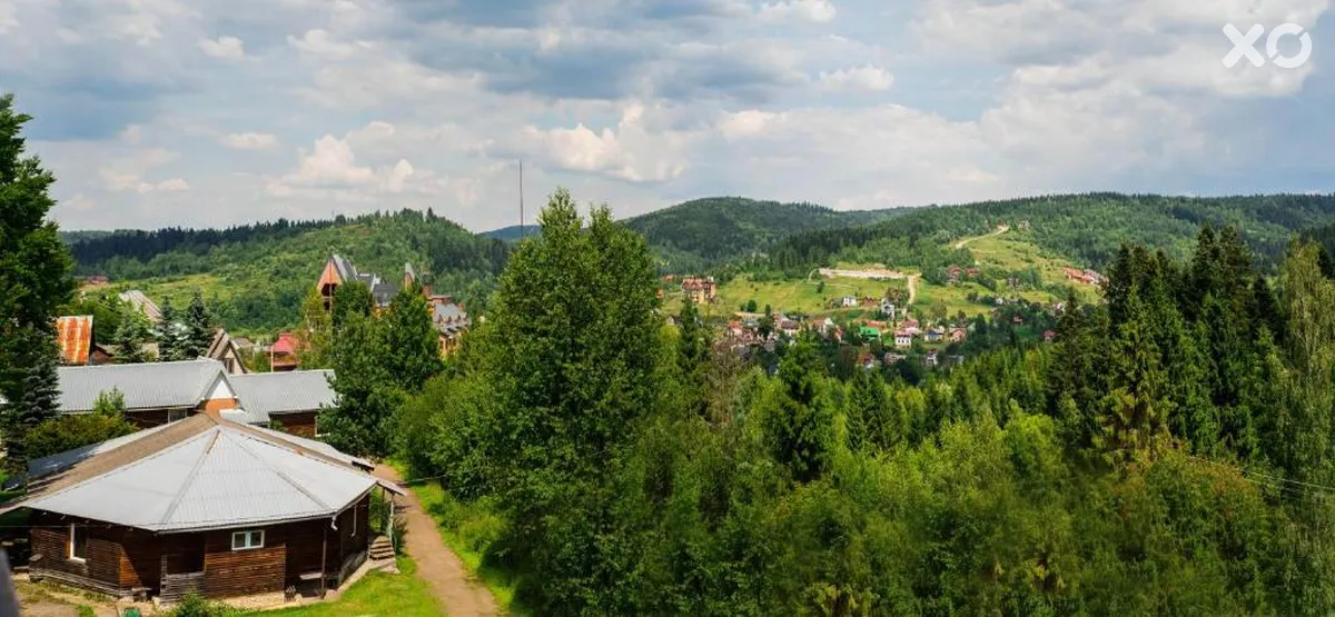 Зелений Бір