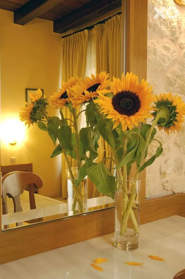 Ideon Hotel