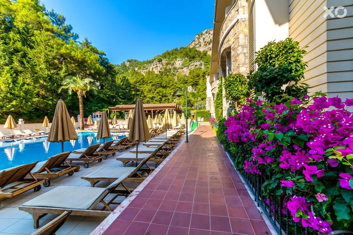 Julian Forest Suites