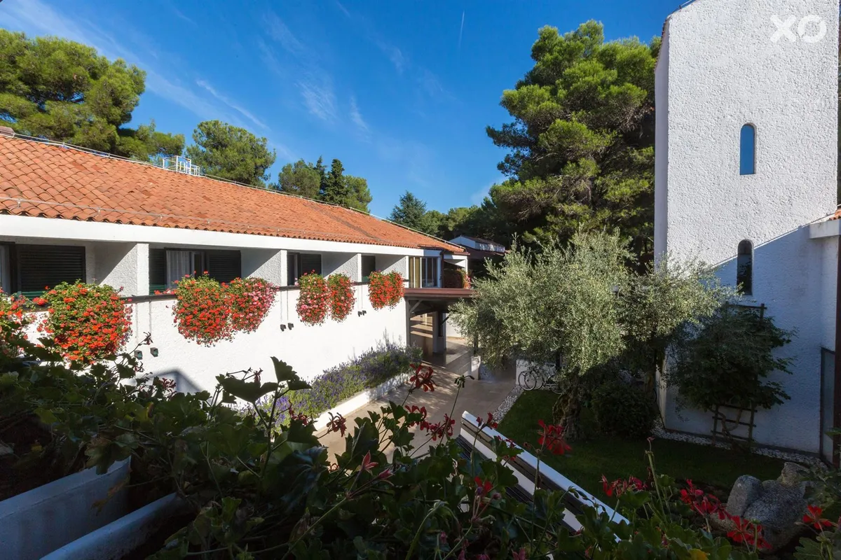 Villa Galijot Plava Laguna