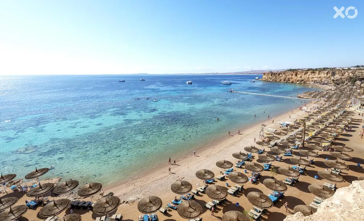 Reef Oasis Beach Resort
