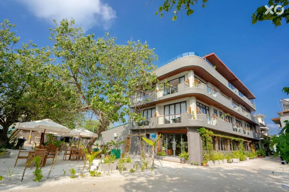 Ayala Ocean View