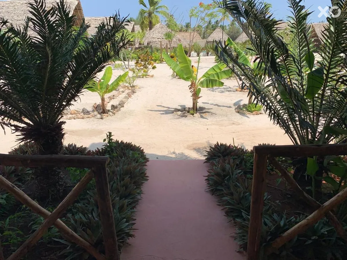 New Jambo Bungalows