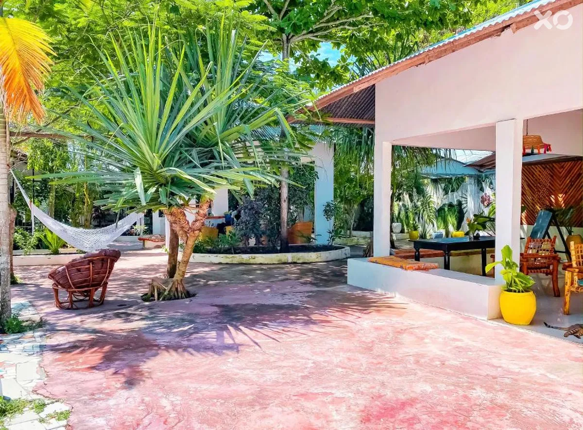 Papaya Guest House