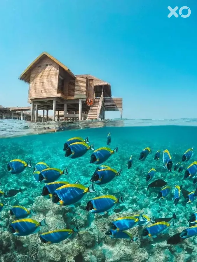 Vakkaru Maldives