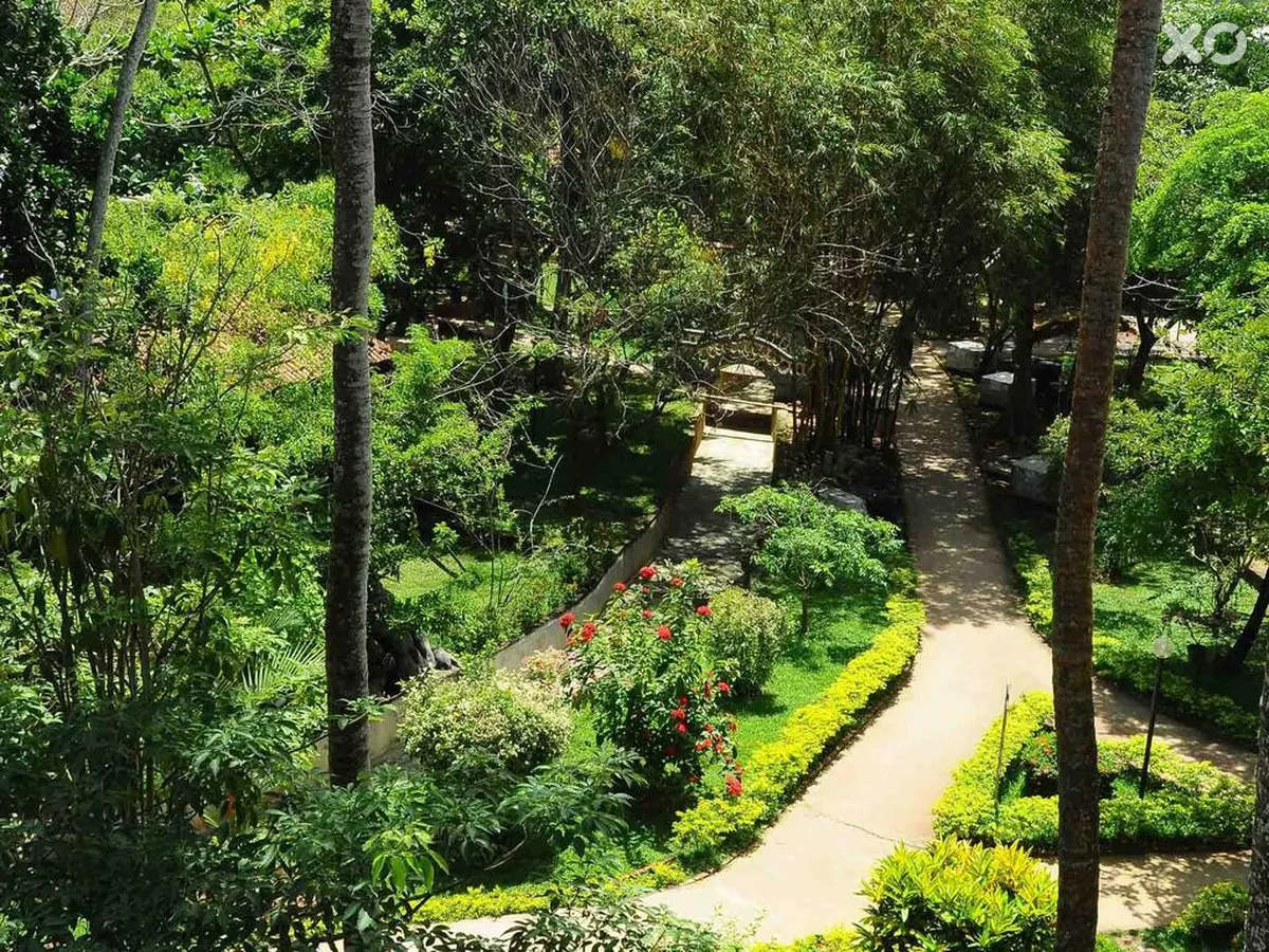 Siddhalepa Ayurveda Health Resort