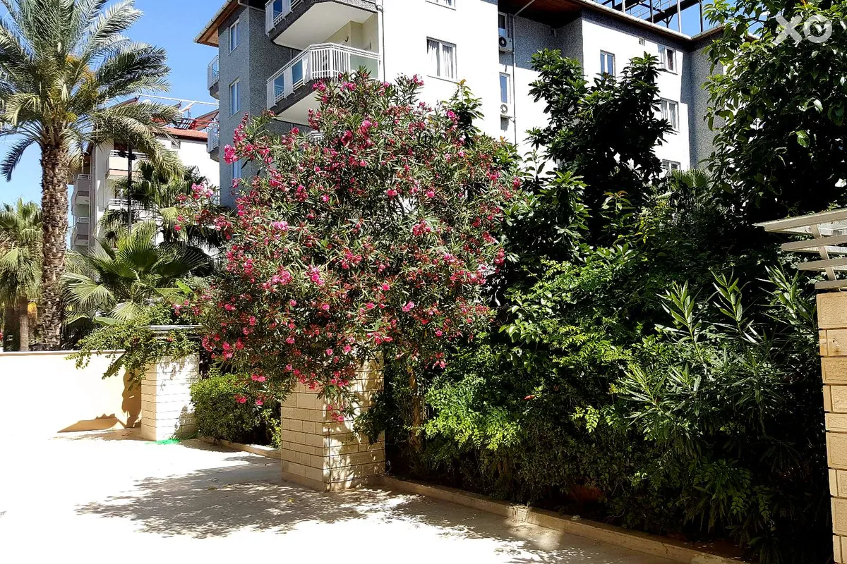 Carmen Suite Hotel