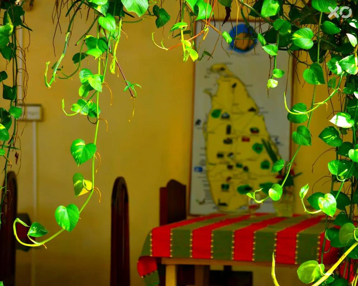 Sea Breeze Guesthouse