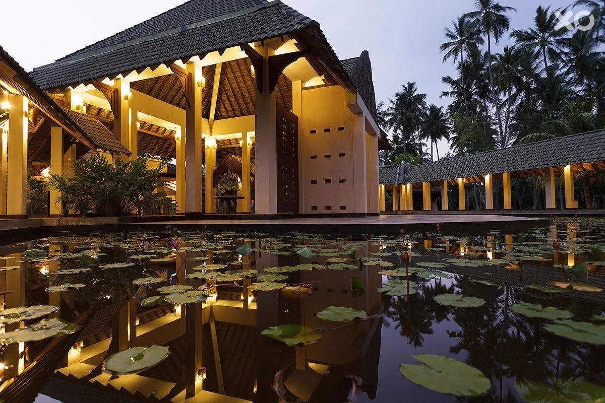 The Palms