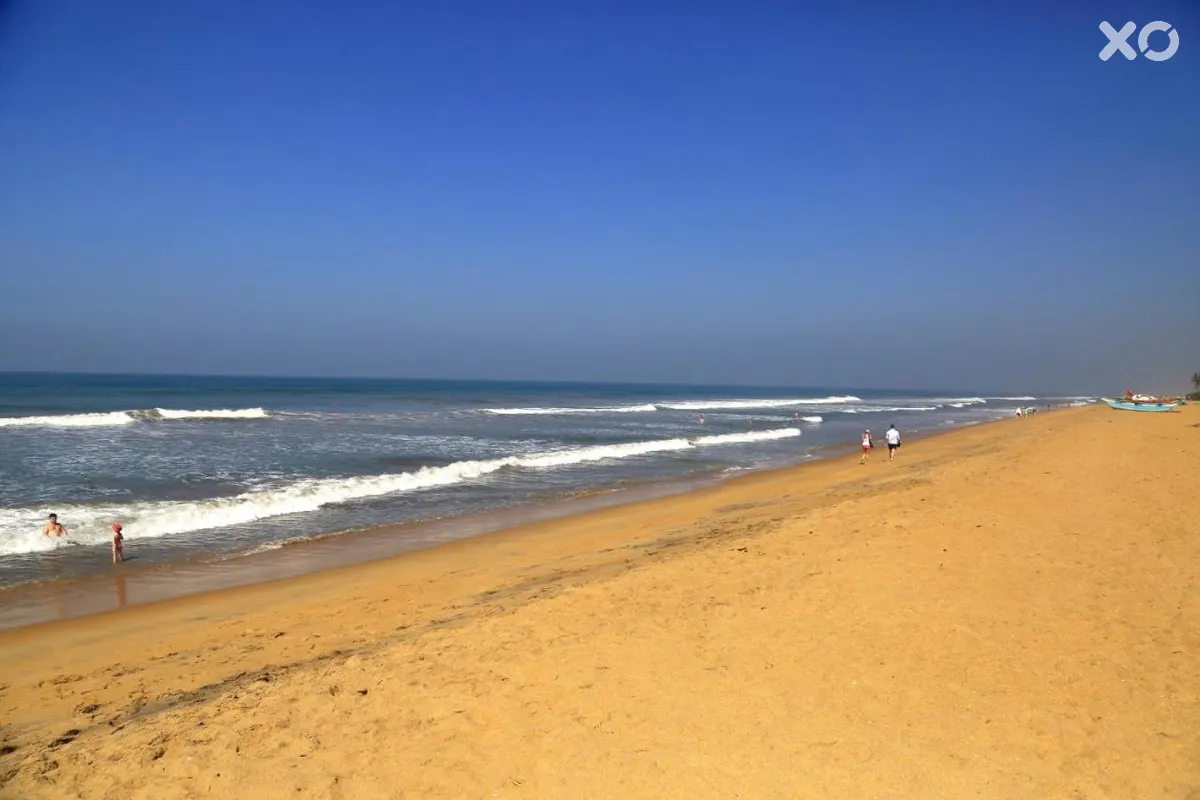 Hibiscus Beach Hotel