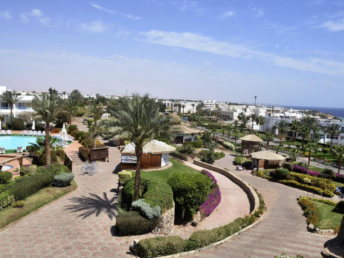 Queen Sharm Resort
