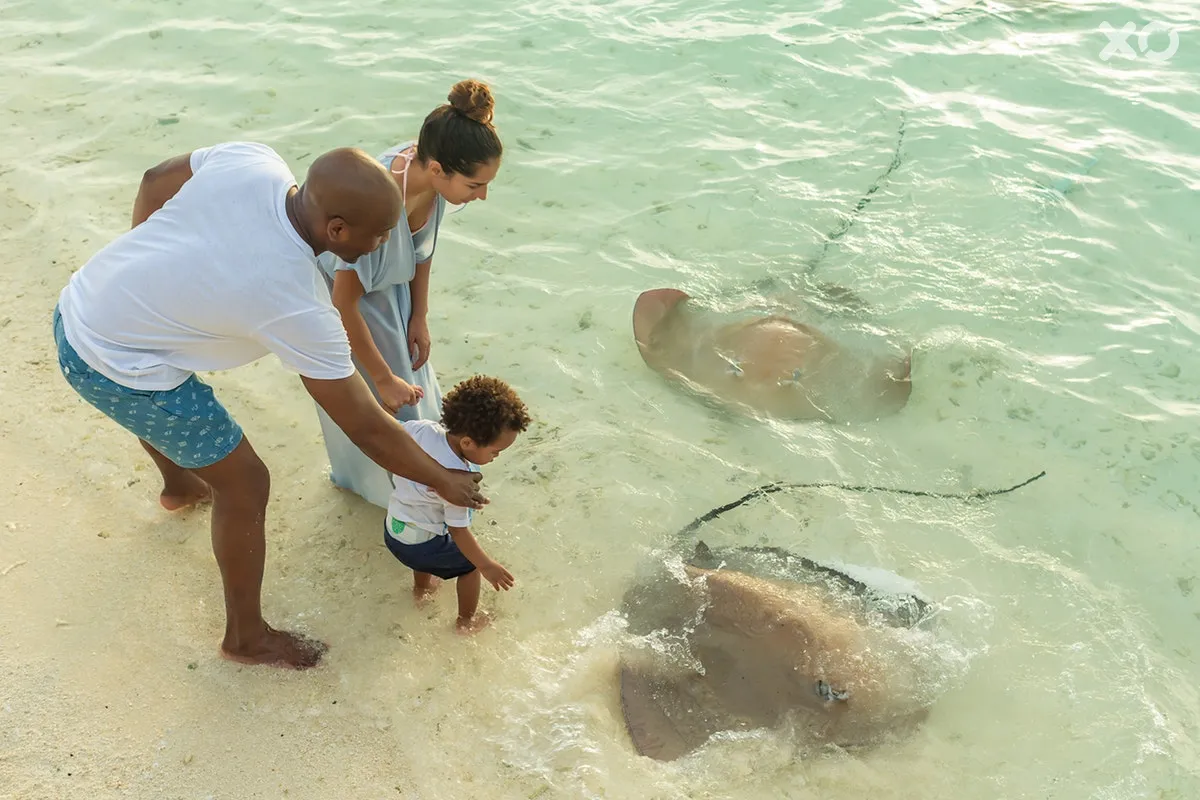 Sun Siyam Vilu Reef