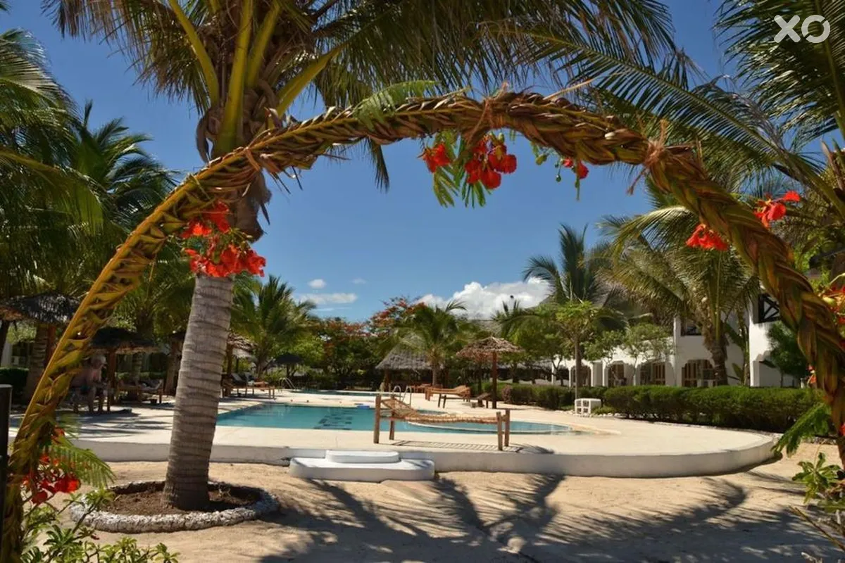 Nest Style Zanzibar